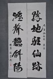 现代谢汉杰行书“胜地·滩涂”对联